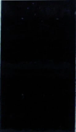 Quattroerre Yksiraitainen Kylkiteippi Musta 10mm